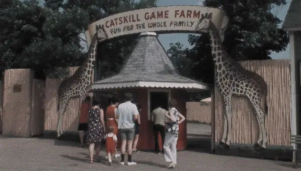 American Zoo by Tim Travers Hawkins