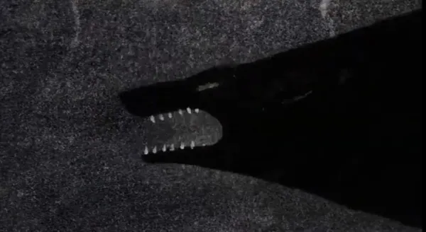 Among The Black Waves