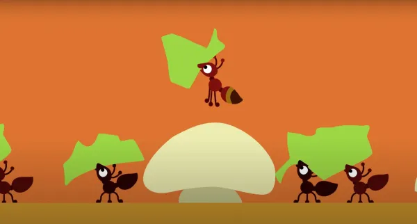 Ant