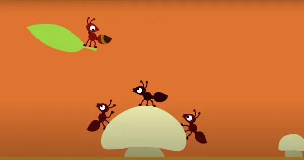 Ant