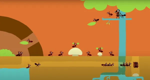 Ant by Julia Ocker