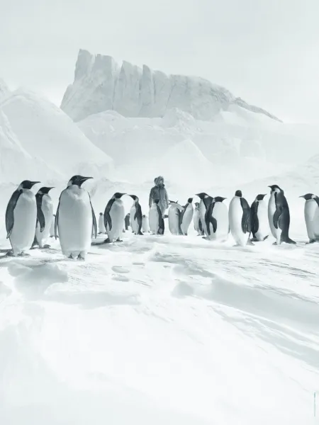 Antarctica Calling