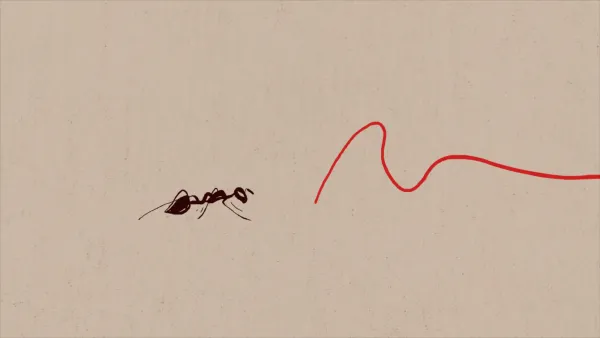 Ants' Songs