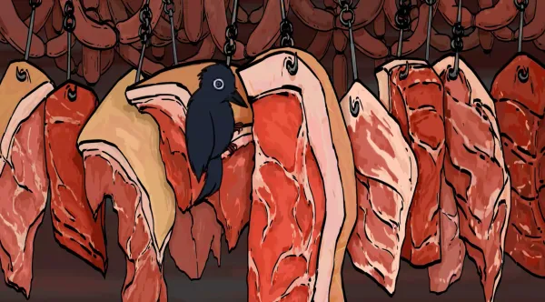 Appetite