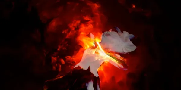 Fragment of Falling
