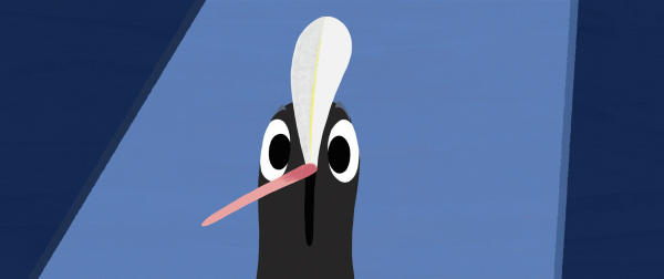 Coot