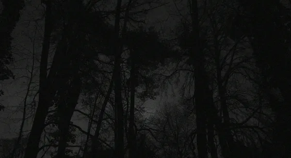 Obscure Night – “Ain’t I a child?”