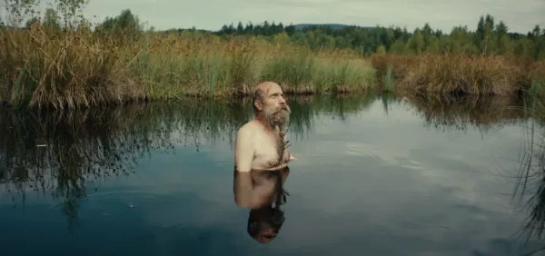 Better Go Mad in the Wild