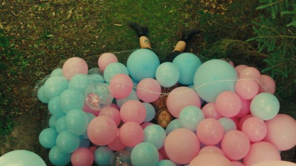 Gender Reveal