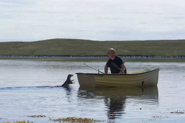 Billy & Molly: An Otter Love Story