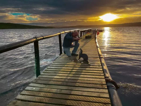 Billy & Molly: An Otter Love Story