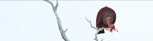 Bird of Prey