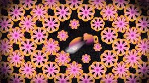 Blossom