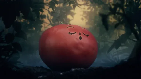 Good Night Little Tomato