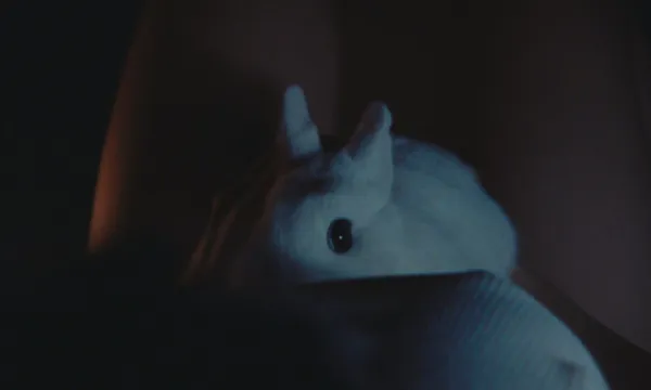Bunnylovr