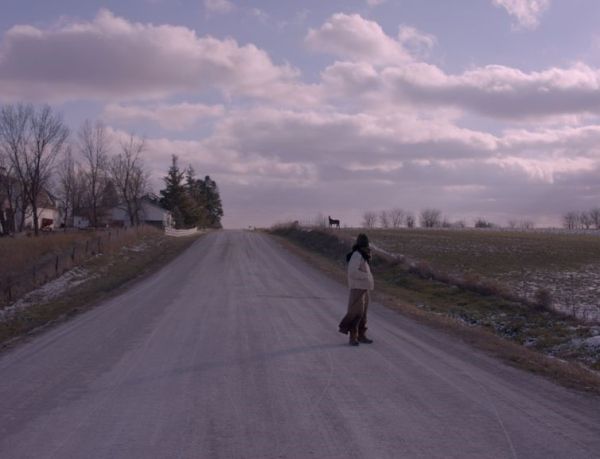 My Life is Wind (a letter)