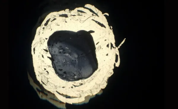 Can Circle Circles?