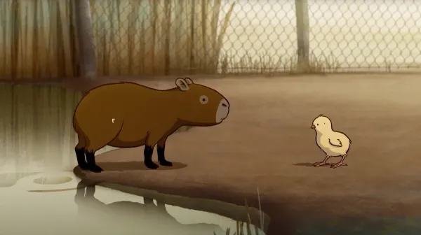 Capybaras