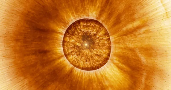 Stellar Iris