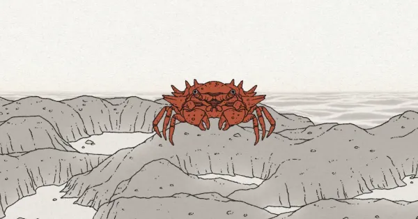 Crab Diane