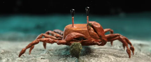 Crab