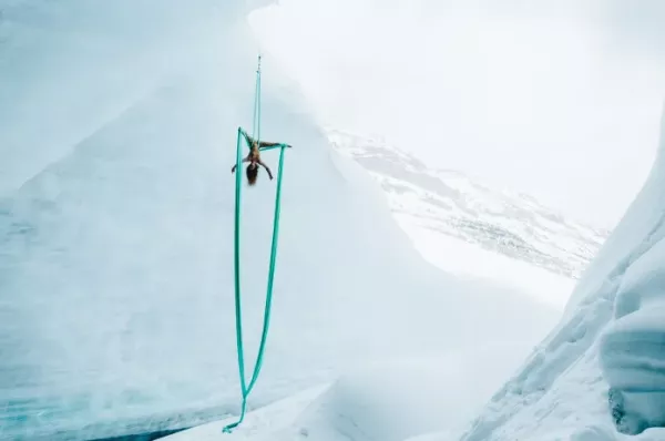 Wild Aerial