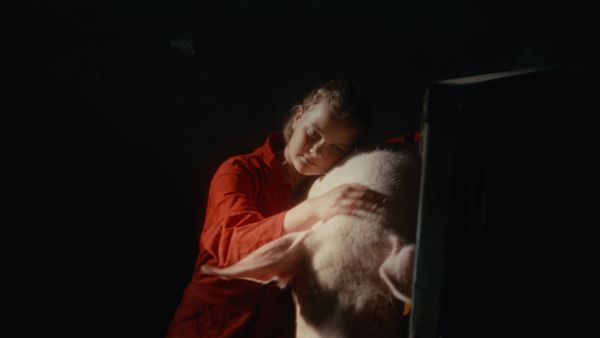 Leonie, Skeet & the piglets