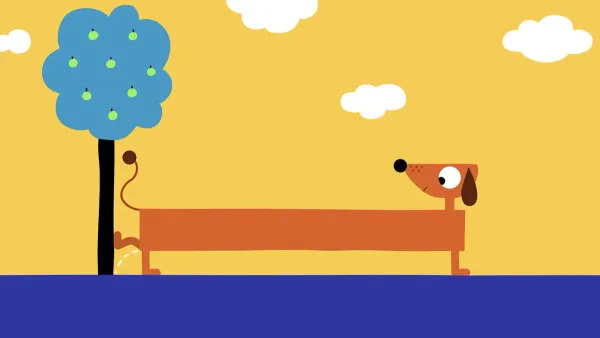 Dachshund