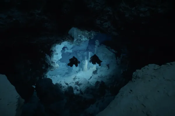 Diving Into The Darkness
