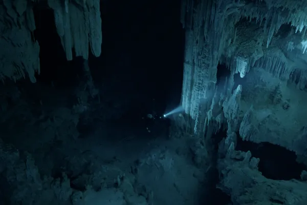 Diving Into The Darkness