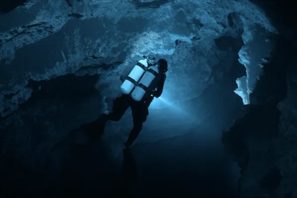 Diving Into The Darkness