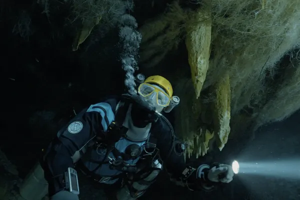 Diving Into The Darkness