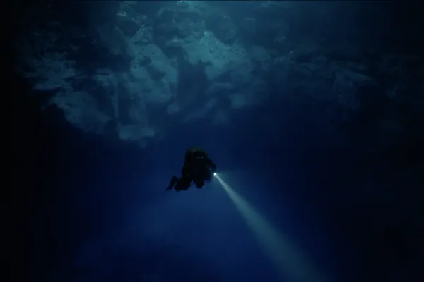 Diving Into The Darkness