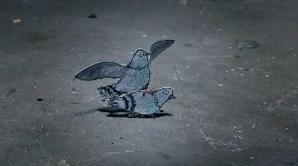 Do Not Feed The Pigeons
