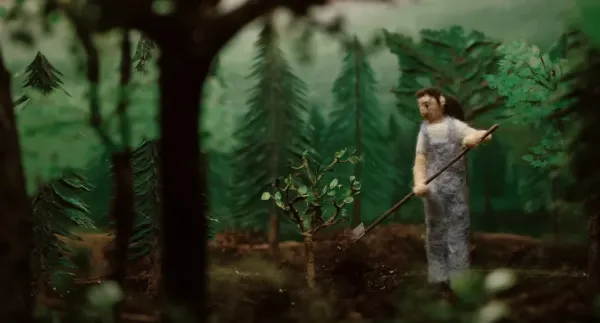 Does Planting Trees Actually Cool the Planet?