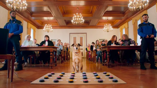 Dog on Trial by Laetitia Dosch