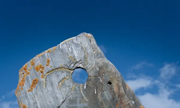 The Wind Blows Wherever It Wants