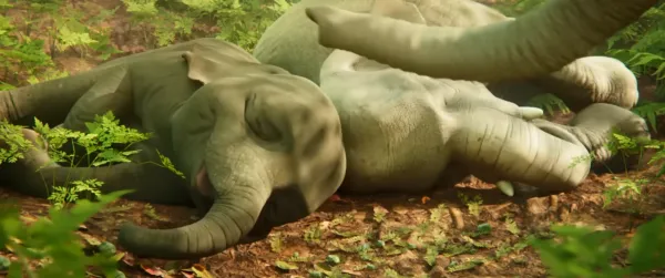 Elegy of Elephant