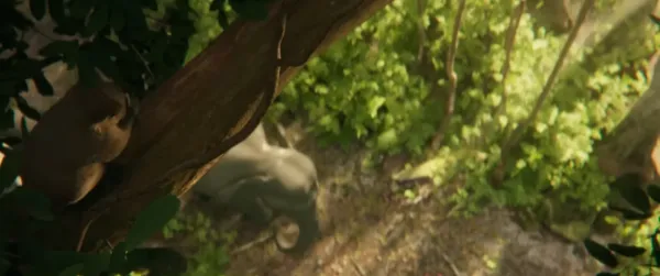 Elegy of Elephant