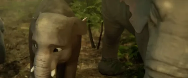 Elegy of Elephant