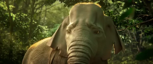 Elegy of Elephant