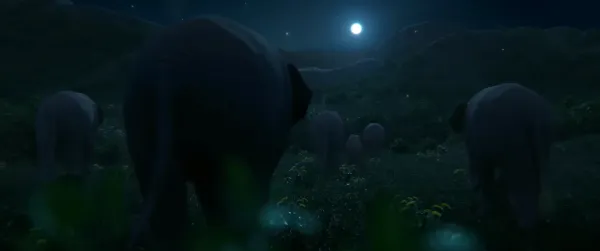 Elegy of Elephant