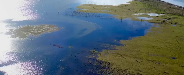 Fire, Water, Earth, Air