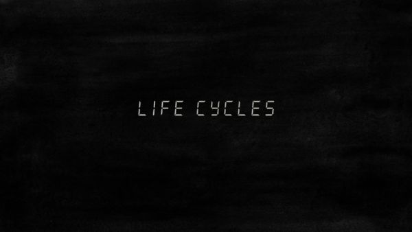 Life Cycles