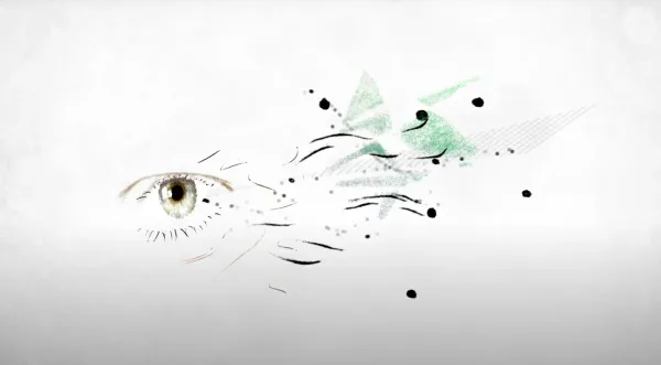 Do I See What You See?