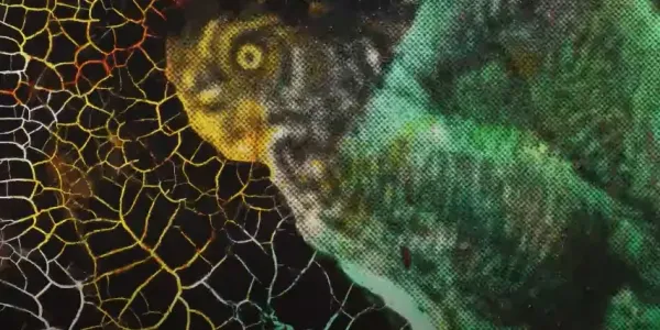 Federal Owl Commission