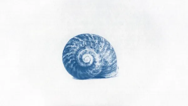 Fiore Mio