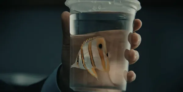 Fish Bowl