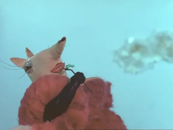 Fox Woman
