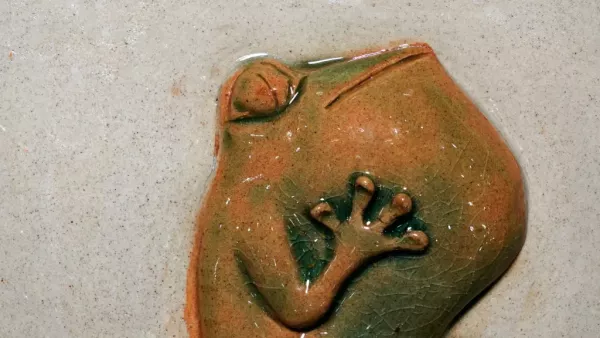 Frozen Frog